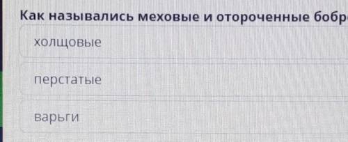 Вязание спицами разных изделий. Урок 2 Как назывались меховые и отороченные бобром рукавицы русских