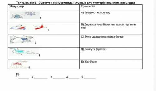 (2) ТапсырмаNo8 Суроттон жануарлардың тыныс алу типтерін анықтап, жазыңдарЖануарларЕрекшелипA) Қосар