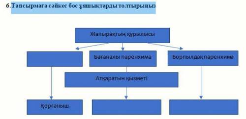 Тапсырмаға сәйкес бос ұяшықтарды толтырыңыз