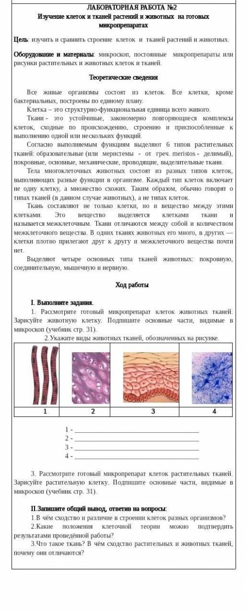 с биологии по лабораторной работе со 2 заданием​