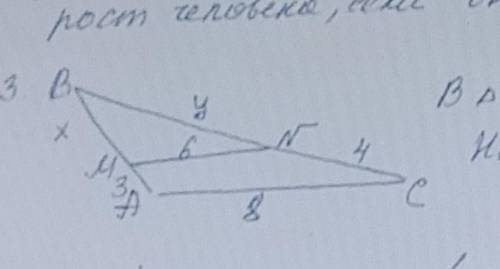 В треугольнике АВС МН параллелен АС найдите х и у​