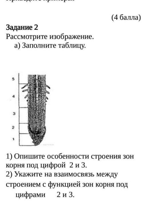 Рассмотрите изображение.а) Заполните таблицу.1) Опишите особенности строения зон корня под цифрой  2