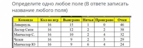 РАДИ БОГА НУЖНО 1)Определите одно любое поле(в ответе записать название любого поля)на фото 2)Опреде