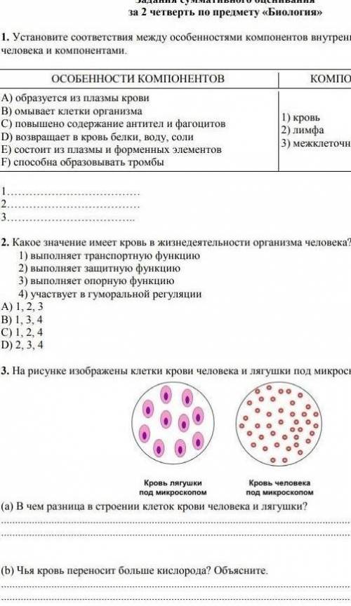 Соч по биологии 2 четверть