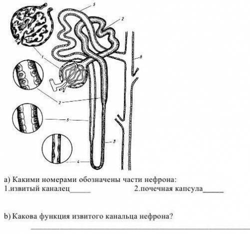 Хэлп а и б, только и всего                              ​