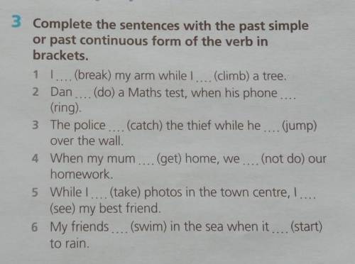 Complete the sentences with the past simple or past continuous from do the verb in brackets​