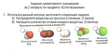 Задания суммативного оценивания за 2 четверть по предмету «Естествознание»Используя данный рисунок,