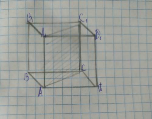 Найти площадь сечения прямоугольного параллелепипеда,содержащие диагонали A1C1 и AC верхнего и нижне