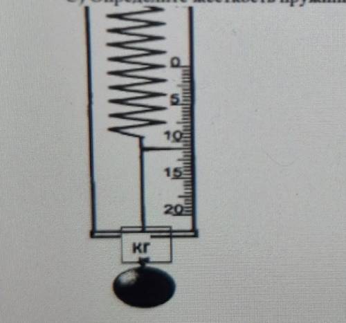 Первоначальная длина пружины без груза 12 см. После того, как был подвешен груз, длина пружины стала