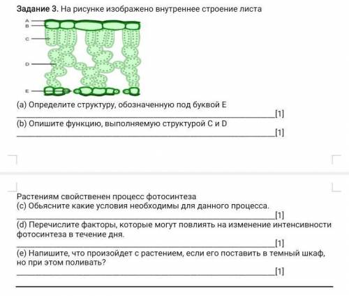 ЭТО СОЧ ПО БИОЛОГИИ ​