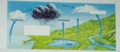 Задание 7. Подпиши недостающие элементы круговорота воды​