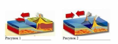 Определи по рисункам какие процесы щемной коры происходят​