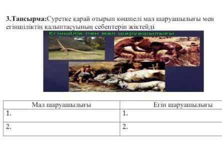 3.Тапсырма:Суретке қарай отырып келелі мал шаруашылығы мен егіншіліктің калыптасуының себептерін жік