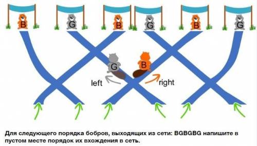 Сеть бобров. Существует сеть проходов, в которые бобры входят и выходят. Есть шесть входов и шесть в