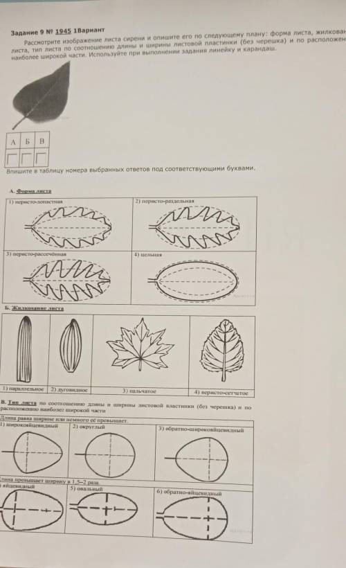 Задание 9 N9 1945 1ВариантРассмотрите изображение листа ​