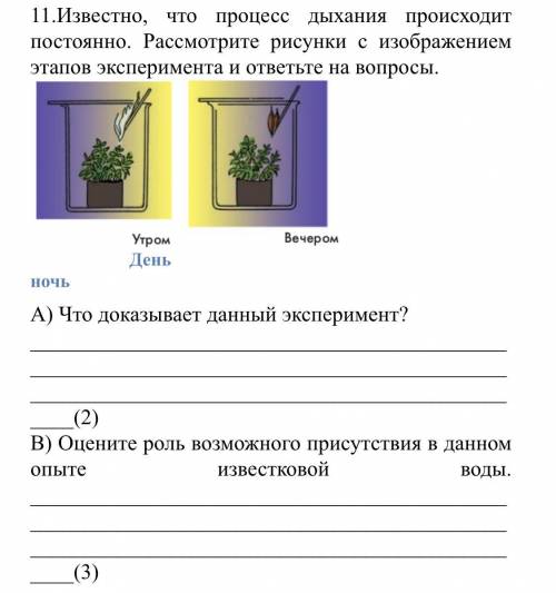 Известно, что процесс дыхания происходит постоянно. Рассмотрите рисунки с изображением этапов экспер