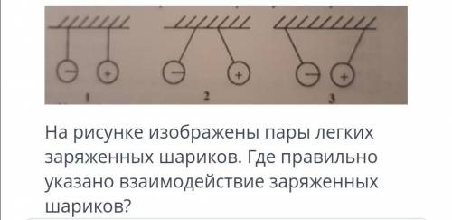 На рисунке изображены пара лёгких заряженных шариков. Где правильно указано взаимодействие заряженны