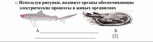 Ребят сделать, в течение часа нужно , ) Только пишите ответ по заданию , а не халявный чтоб получить