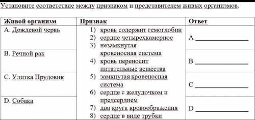 Установите соответствие между признаком и представителем живых организмов. Живой организмПризнакотве