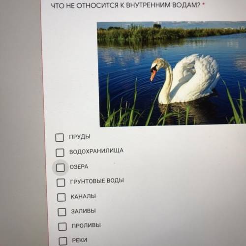 ЧТО НЕ ОТНОСИТСЯ К ВНУТРЕННИМ ВОДАМ? * ПРУДЫ ВОДОХРАНИЛИЩА ОЗЕРА ГРУНТОВЫЕ Воды КАНАЛЫ ЗАЛИВЫ ПРОЛИВ