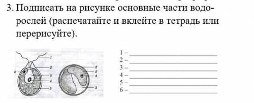 Ссылка из скрина: https://interneturok.ru/lesson/biology/5-klass/tsarstvo-rasteniya/vodorosli