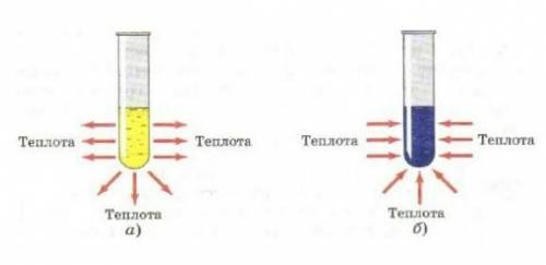 Дайте определение процессу под буквой А и Б. В чем сходство и различие процессов​