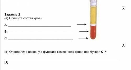 Опишите состав крови А. В. С. ​