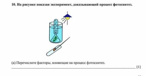 На рисунке показан эксперимент доказывающий процесс фотосинтеза ​