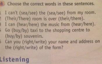 4 Choose the correct words in these sentences. I can't (sea/see) the (sea/see) from my room.2 (Their