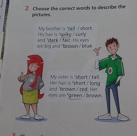 2 Choose the correct words to describe the pictures,My brother is tall / short,His hair is 'spiky /