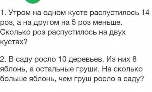 1.Утром на одном кусте распустилось 14 роз, а на другом на 5 роз меньше. Сколько роз распустилось на