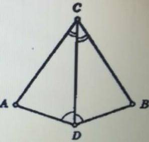 А рисунке представлено равенство углов <АСD=<АСD и <ACD=<BDC.Докажите,что квадраты АСD и