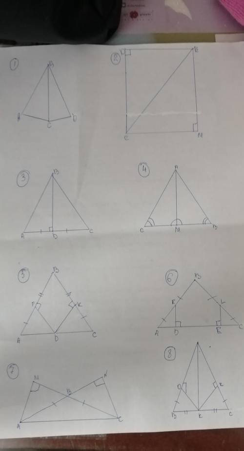 Найдите пары равных треугольников и докажите их равенство