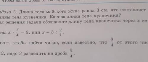 4 Задача 2. Длина тела майского жука равна 3 см, что составляетот длины тела кузнечика. Какова Длина