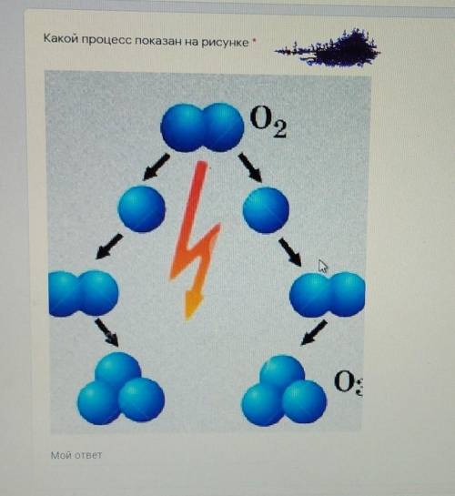 Какой процесс показан на рисунке