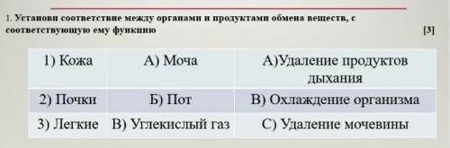 Установи соответствие между органами и продуктами обмена веществ, с соответствующую ему функцию ​