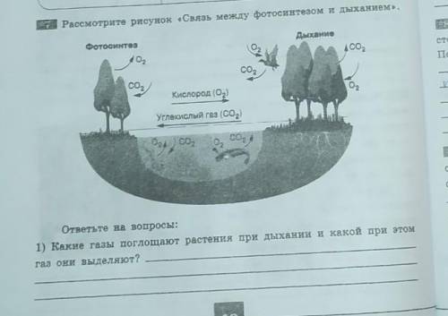 биология 6 класс❤️❤️❤️​