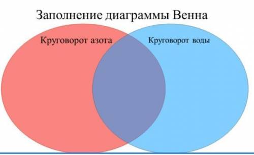 Заполни Диаграмму ВеннаЗапиши общие черты и черты различия​