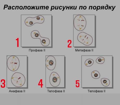 нужно расставить цифры и надписи по порядку ​