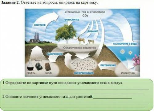 1 определите по картинке пути попадания углекислого газа в воздух. 2. Определите значение углекислог