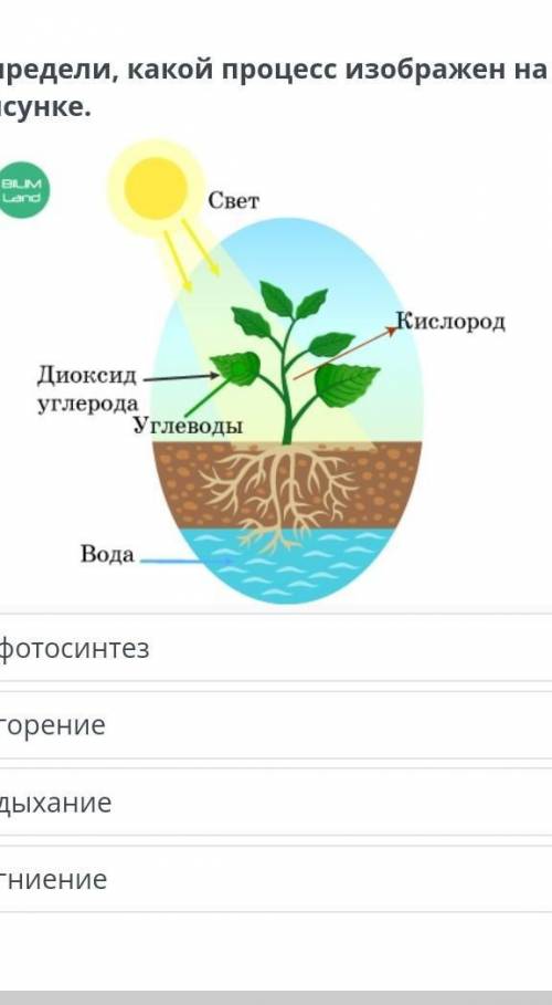 Какой процесс изображён на рисунке​