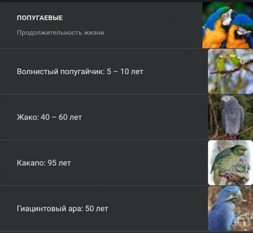 Сколько живут все попугаи дам лучший ответ и взаимной подпишусь отвечаю❤️​