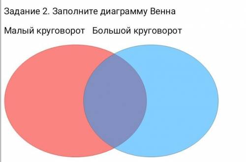 если что , говорится о химических круговоротах веществ.​