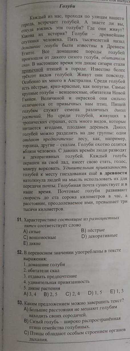 Характеристике состоящие из разноцветных пятен соответствует слово