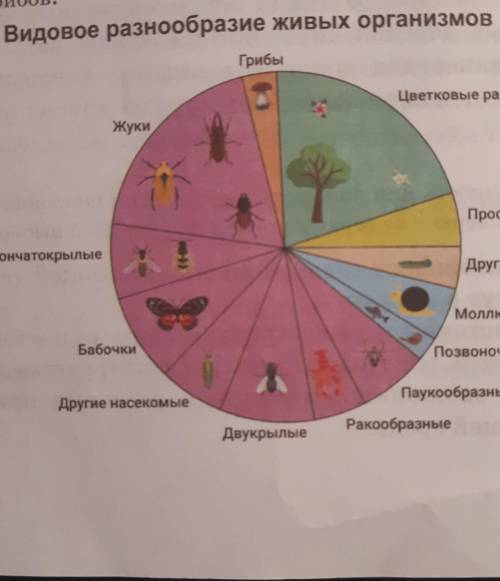 Составьте на основе диаграммы сплошной текст в виде аннотации к реферату на тему «Видовое разнообраз