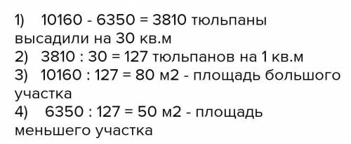 ДОМАШНЕЕ ЗАДАНИЕ 9Реши задачу. С УСЛОВИЯМНа двух участках высадили луковицы тюльпанов. Одинучасток б