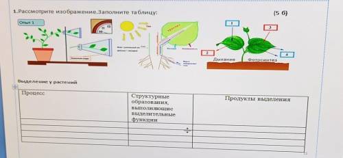 Все на рисунке надо.​Биология.