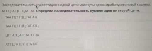 Последовательность нуклеотидов в одной цепи молекулы дезоксирибонуклеиновой кислоты: АТЦГА ЦГГЦТА ТА