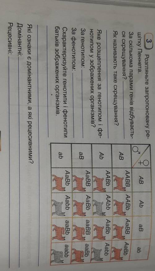 1.За скількома парами генів відбувається схрещування? 2. Як називають таке схрещування?3. Яке розщеп