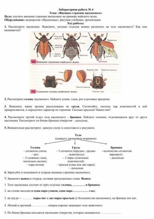 ЛАБОРАТОРНАЯ РАБОТАглавные мозги